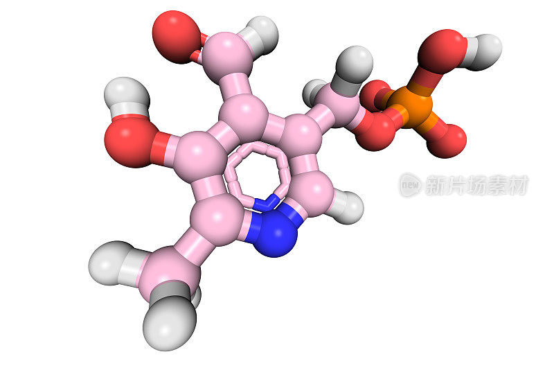 DrugModel:维生素B6