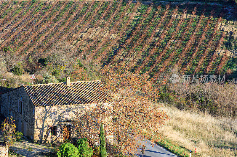 沃克鲁兹的风景:鲁伯隆山谷戈尔德斯附近的葡萄园