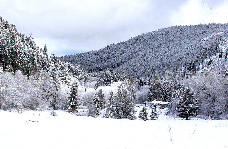 白雪覆盖的山谷在农村