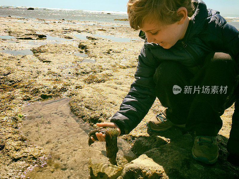 小男孩温柔而兴奋地抱着一只海兔