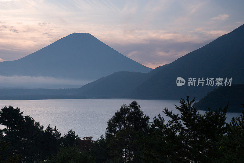 富士山与树木