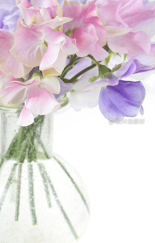 小玻璃花瓶中的豌豆花。
