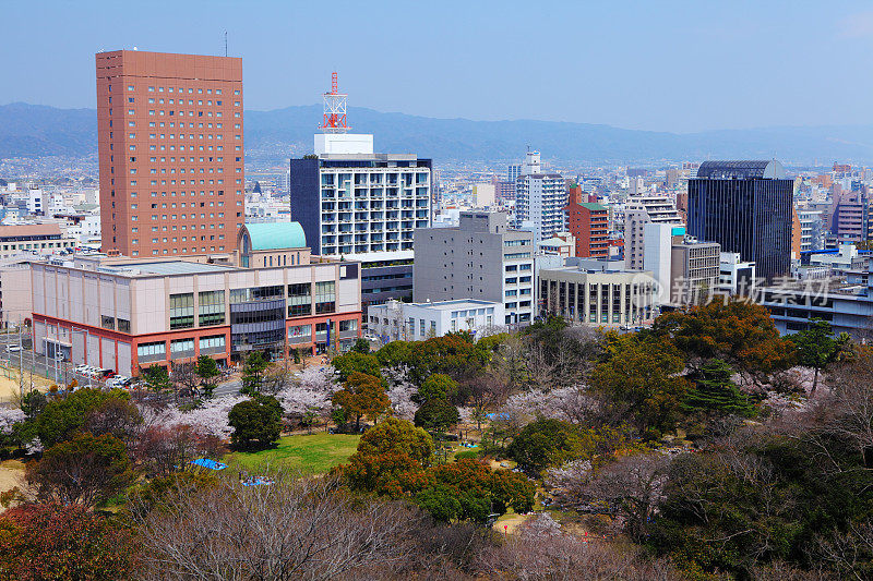 和歌山市的春天