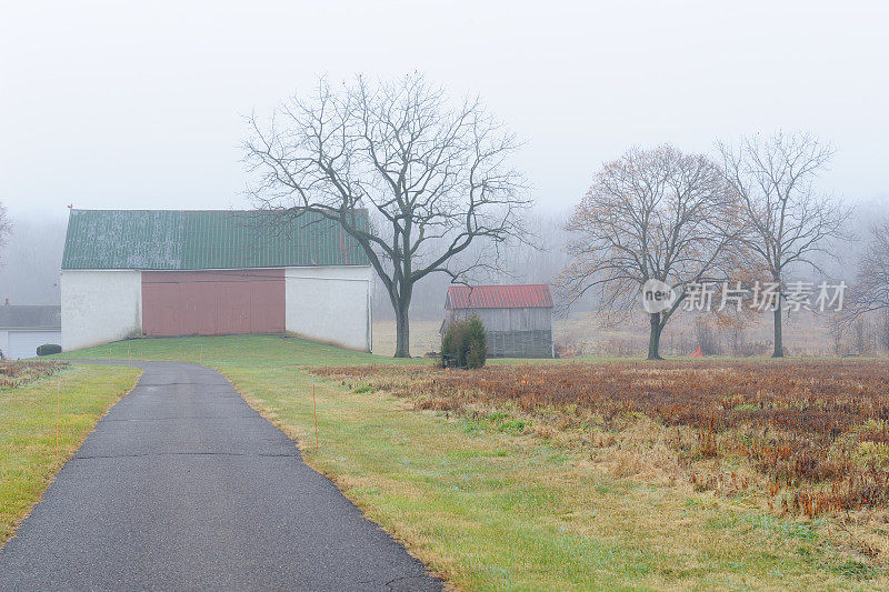 农舍在雾中