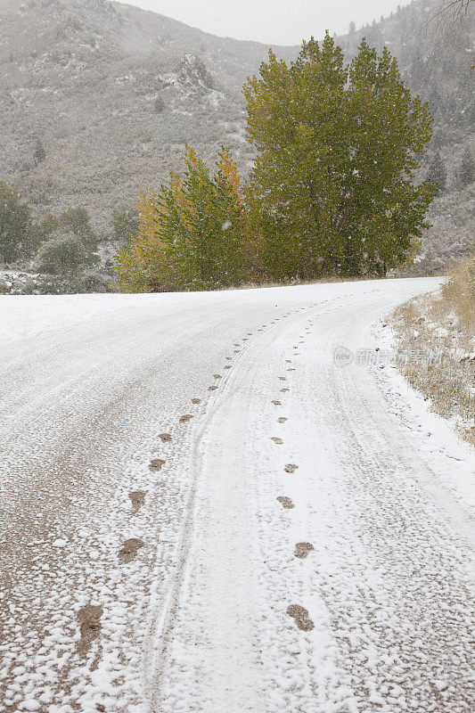 科罗拉多州，跑步者在雪山上的足迹