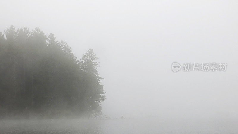 萨拉纳克湖，雾蒙蒙的早晨，树覆盖的岛屿海岸，纽约