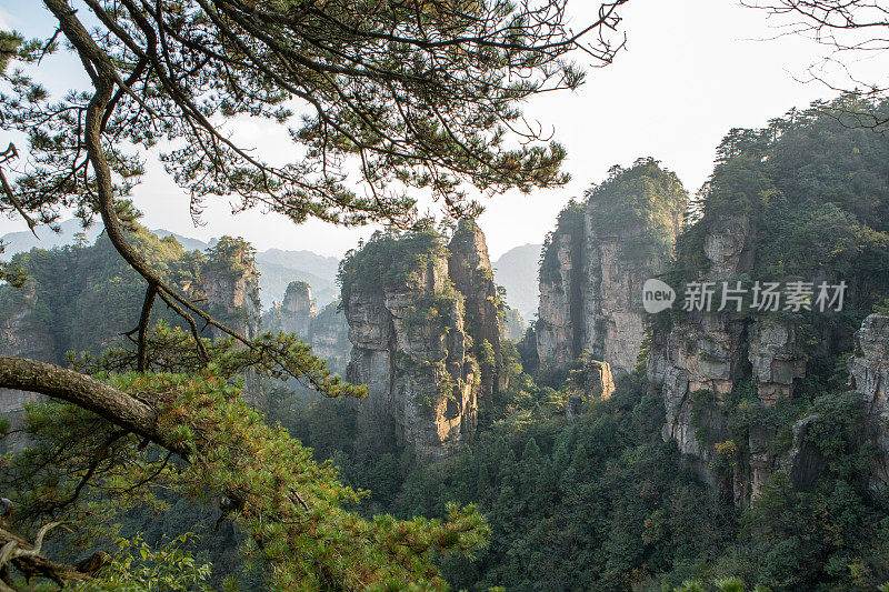 砂岩柱，张家界国家森林公园，中国