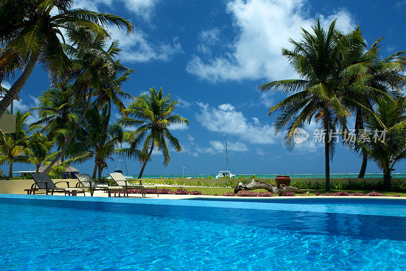 热带的蓝色泳池，周围是松树和椅子