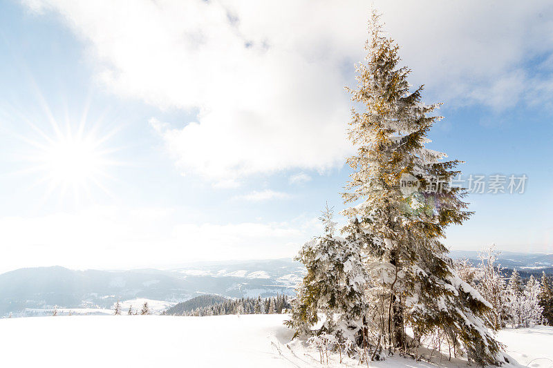 神奇的冬季景观。蓝色的天空。喀尔巴阡、乌克兰、欧洲。美丽的世界。