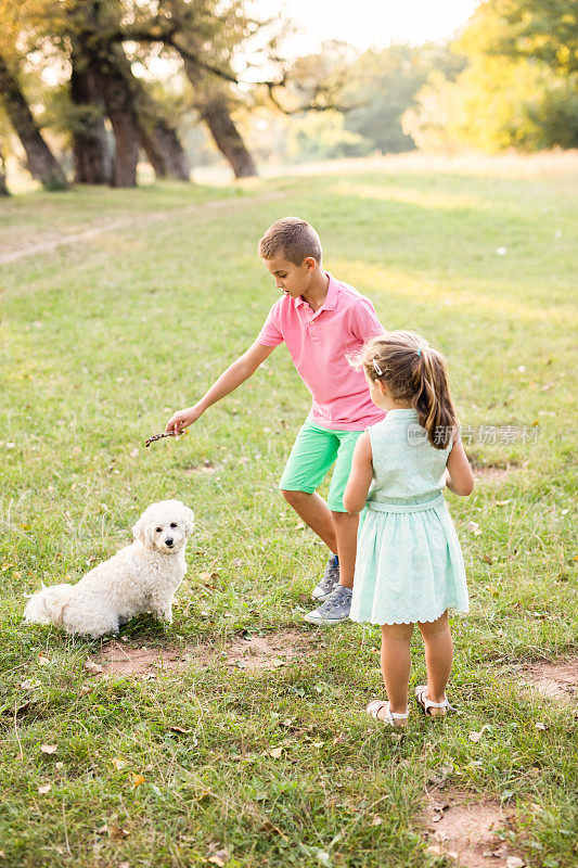 两个可爱的孩子和狗在乡下玩接球
