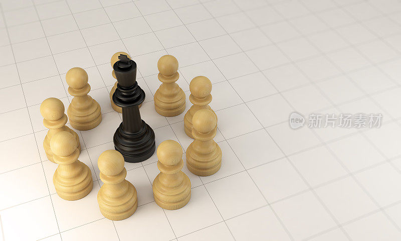 团队合作概念与象棋兵圈和国王