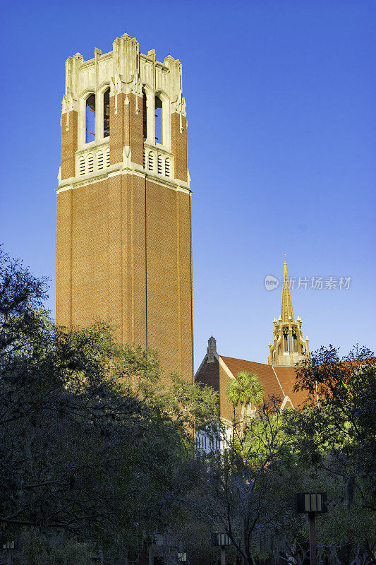 钟楼-佛罗里达大学