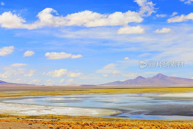 田园诗萨拉德塔拉蓝泻湖，盐沼-火山和田园诗阿塔卡马沙漠高原，火山景观全景-圣佩德罗阿塔卡马，智利，Bolívia和阿根廷边境