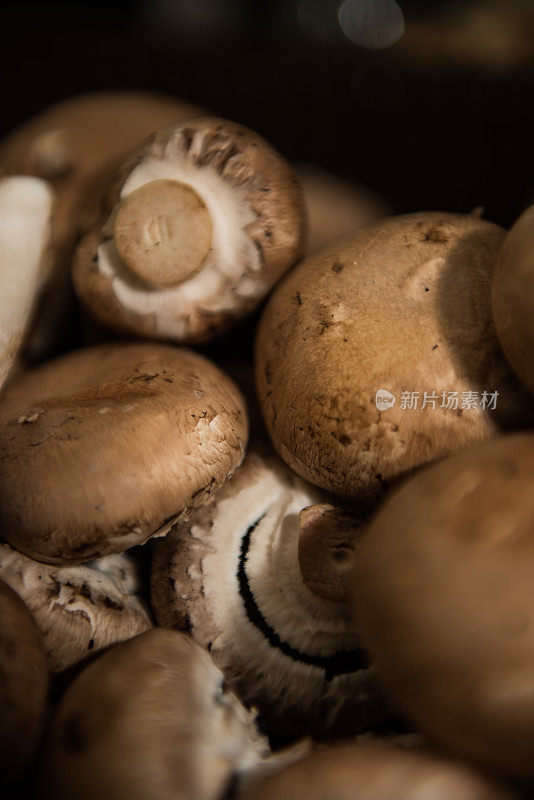 新鲜的棕色波多贝露蘑菇背景与拷贝空间