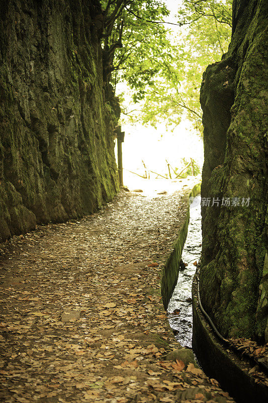 在马德拉岛徒步旅行