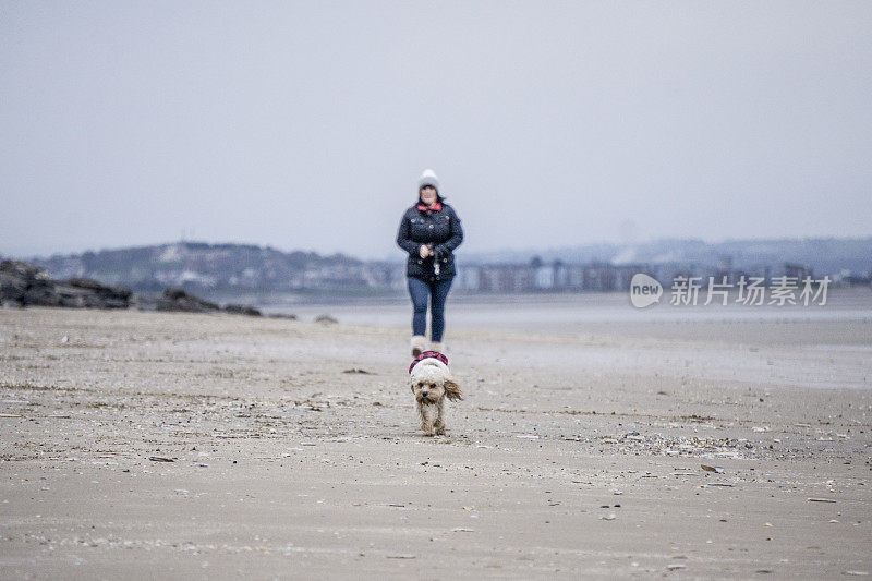 成熟的女人冬天在海滩遛狗