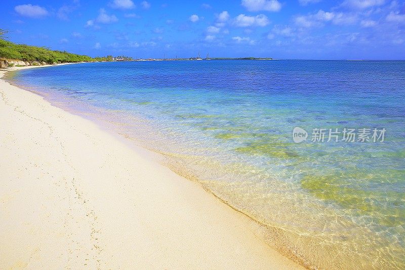 绿松石游泳池，半透明的海滩与热带棕榈树-加勒比海