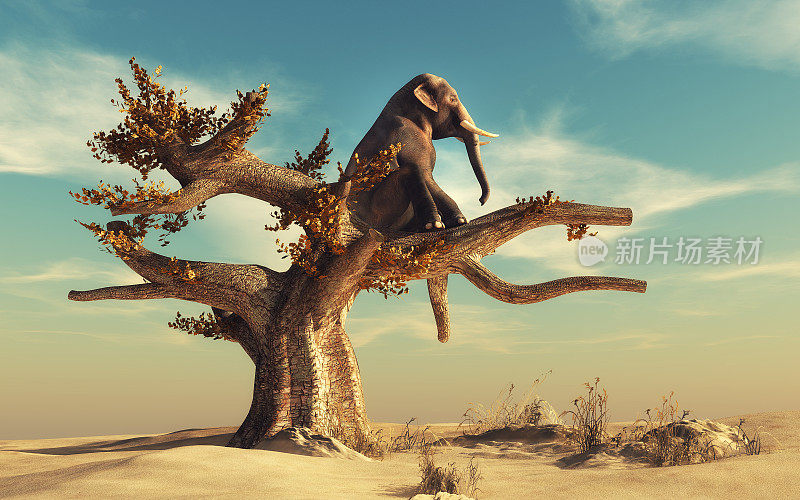 在超现实的风景中，大象在一棵干燥的树上