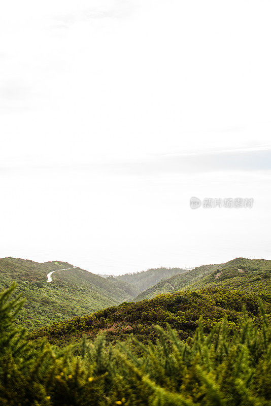 没有人类的马德拉风景