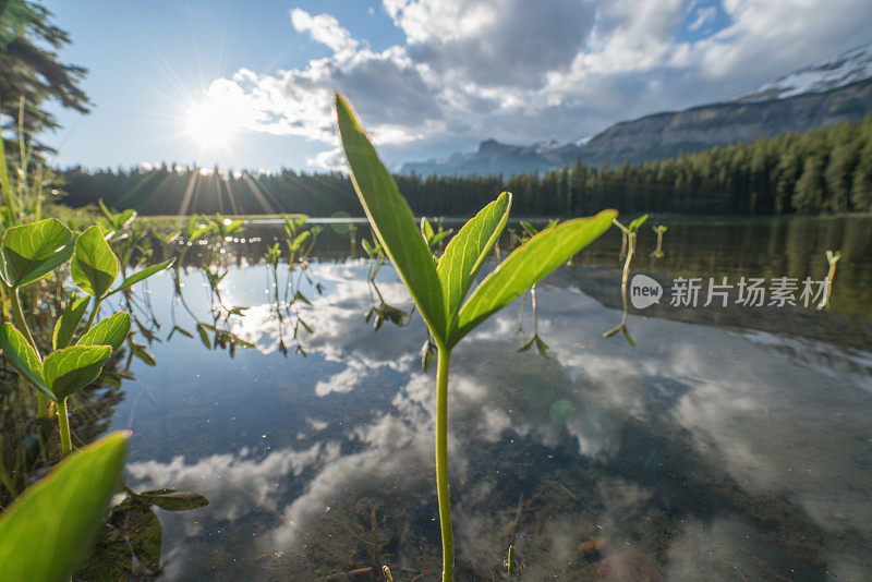 加拿大的山湖景观