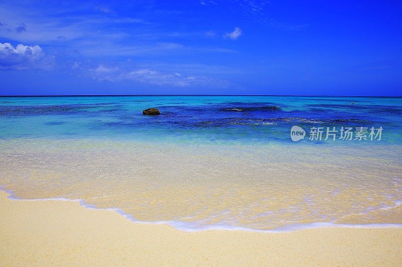 田园诗般的热带绿松石海滩从低角度看-阳光蓝色泻湖，荷属安的列斯群岛，加勒比海