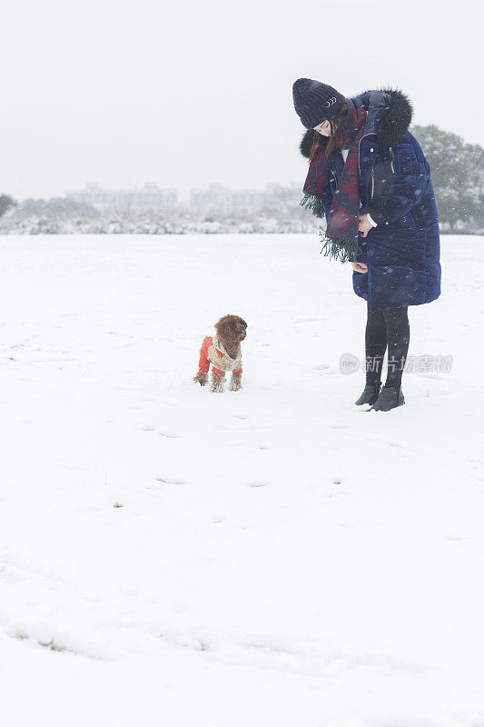 美丽的女人享受雪与宠物狗在雪地上