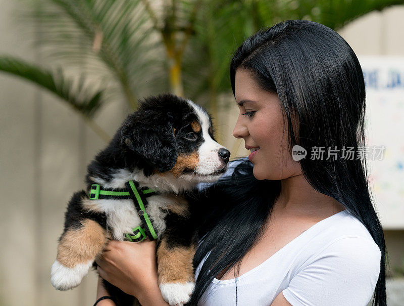 快乐的女人抱着一只美丽的伯尔尼犬