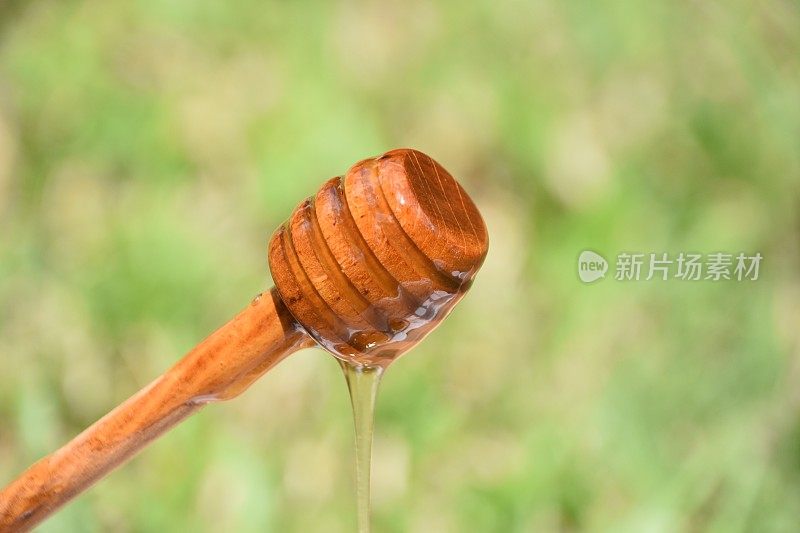 蜂蜜洒在自然的背景上