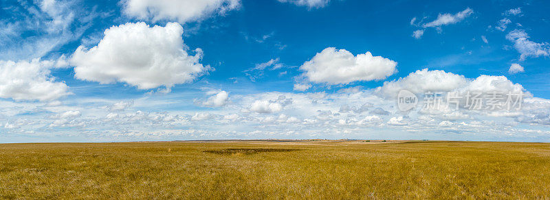 美国南达科他的荒地国家公园草原草的全景