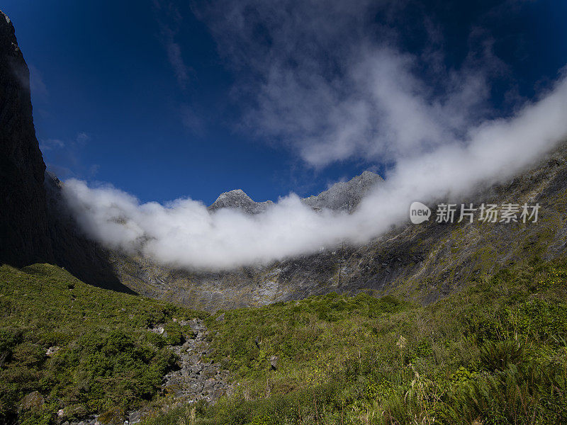 在去新西兰南岛米尔福德湾的路上