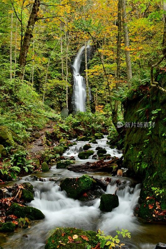 日本青森县磐濑山溪的初秋