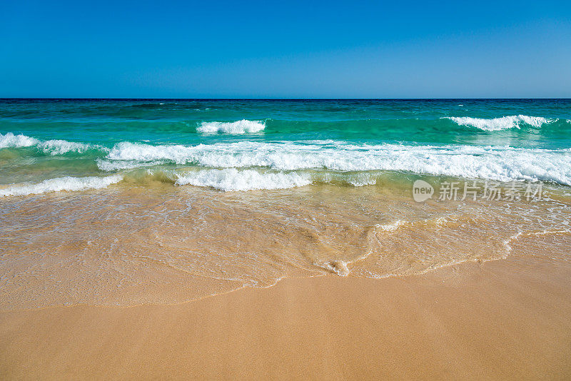 海浪的海洋-海滩的富埃特文图拉