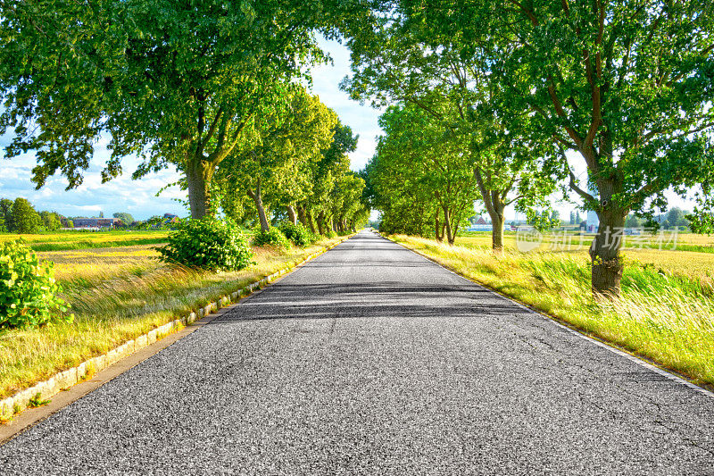 农村道路