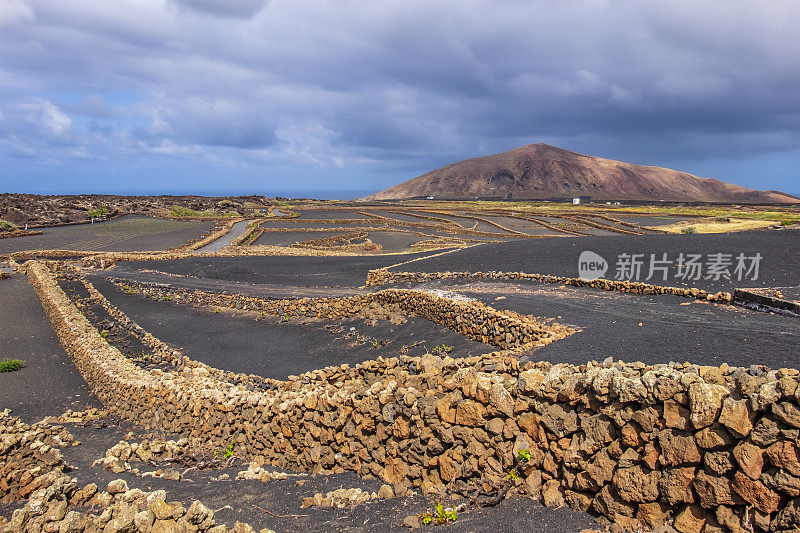 兰萨罗特，加那利群岛-农业火山田