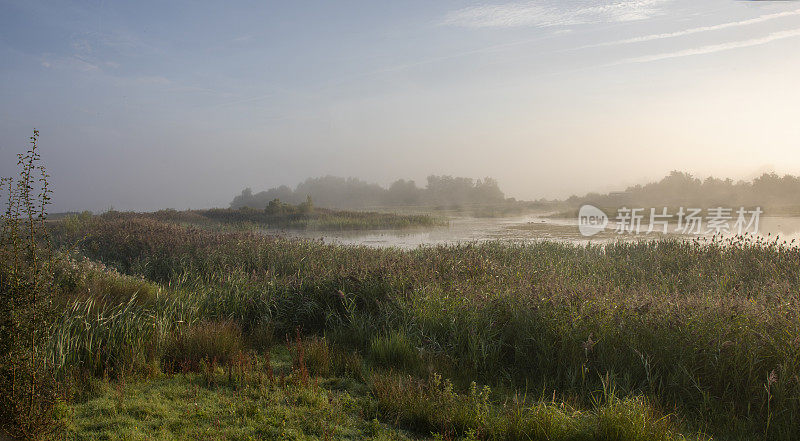 清晨的薄雾笼罩着自然保护区
