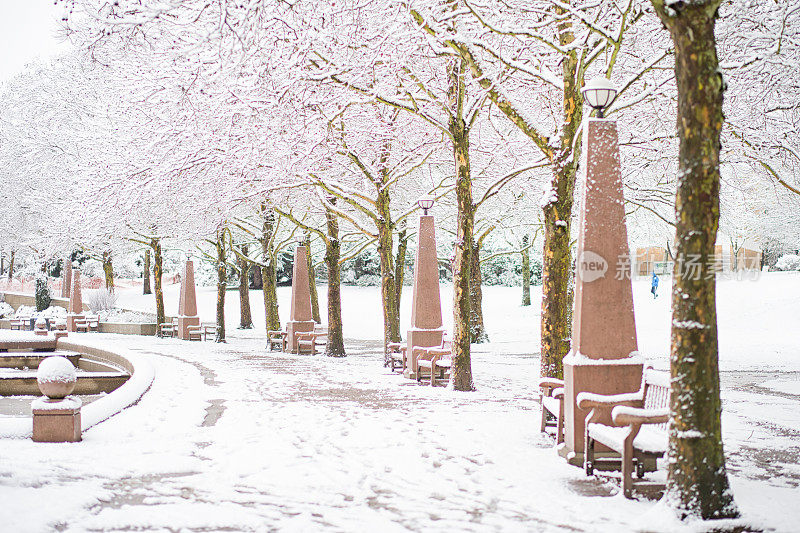 冬天下雪的贝尔维尤市中心公园