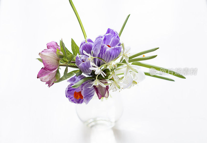 花瓶里插着春天的花