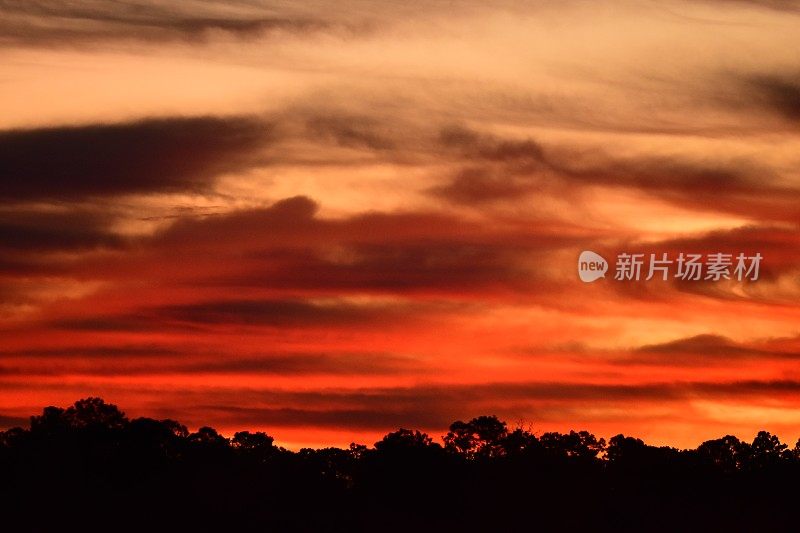 橙色的日出，黎明前的阳光照射在森林上空的云层下面