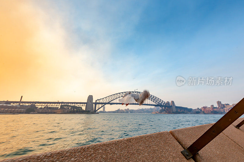 澳大利亚悉尼，东环形码头，海港大桥黄昏的景色