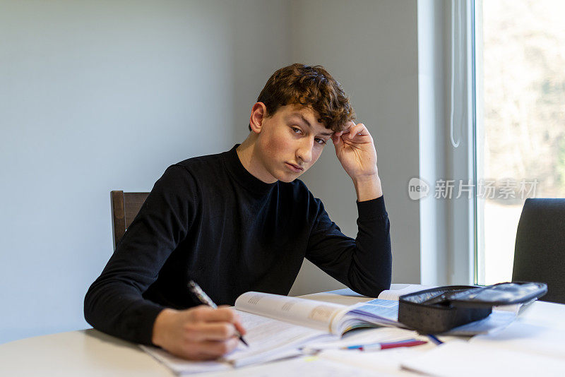年轻的男学生在家里做作业