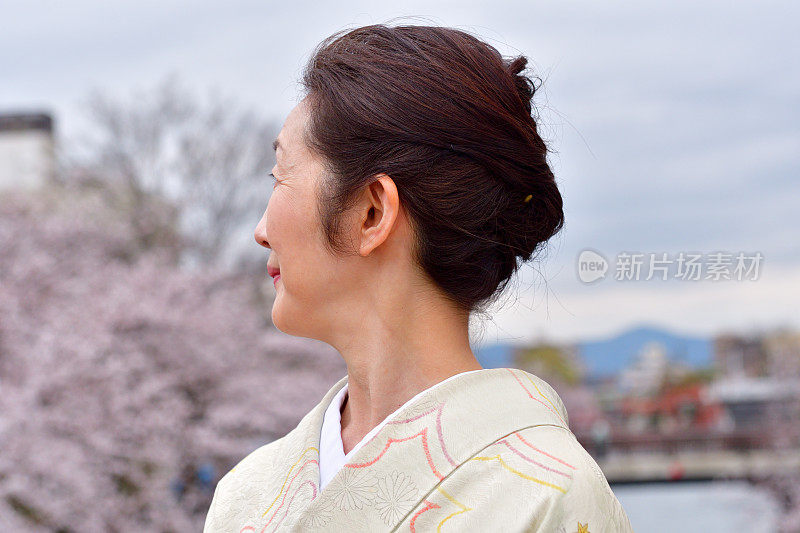 穿着和服的日本妇女在京都欣赏樱花