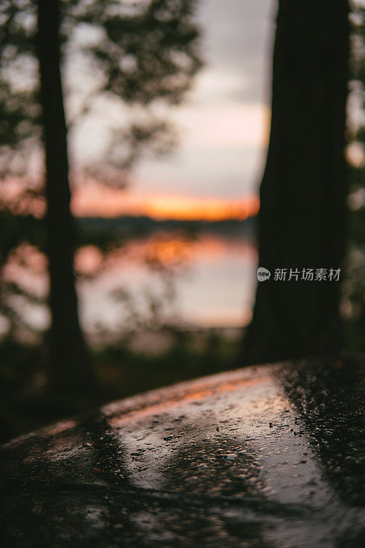 雨后树林里的汽车闪闪发光