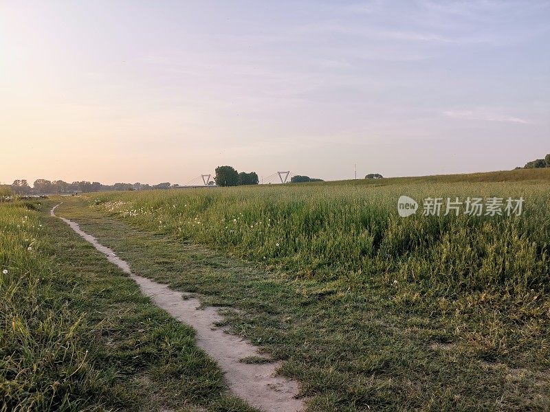 初夏黄昏漫步在纯净的自然公园沿着莱茵河在Düsseldorf西北