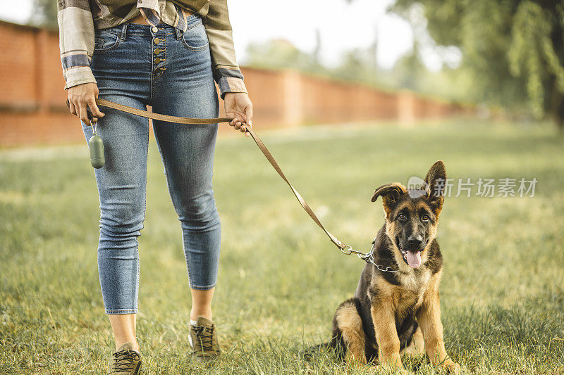 一个年轻女子和她的德国牧羊犬在公园散步