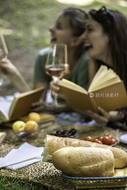 两个快乐的年轻女人在野餐喝葡萄酒在公园股票照片