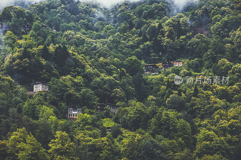 土耳其黑海地区，在绿色森林里的山上有高原房屋