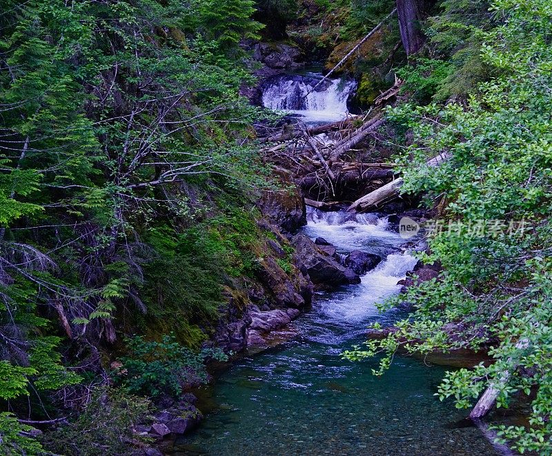 美丽的淡水雷尼尔山