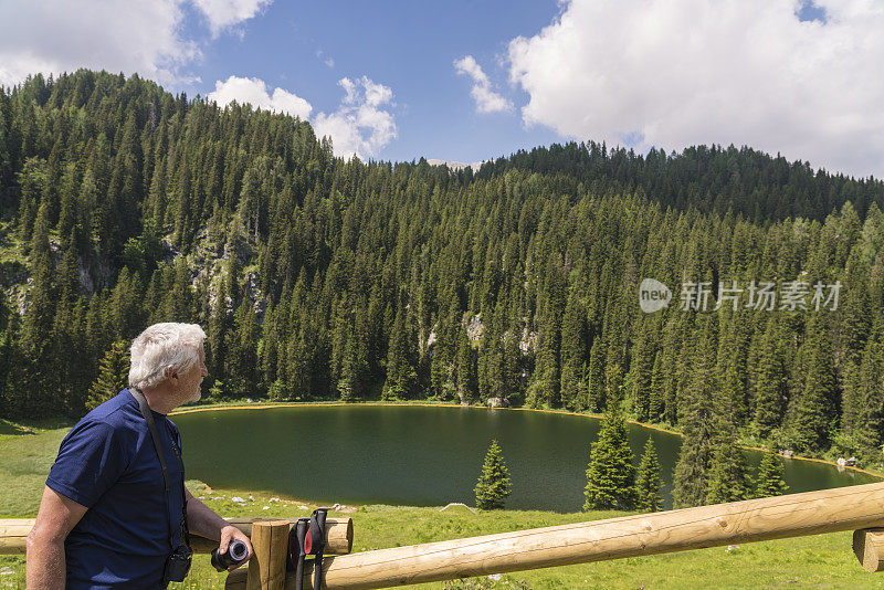老人们高高地靠在森林里的绿色湖泊上休息