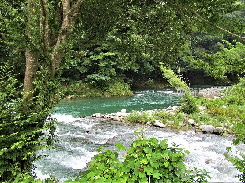 日本。7月。多雨的季节。湍急的河水在山间流淌