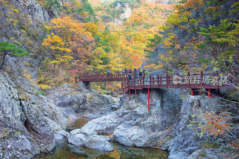 韩国秋景